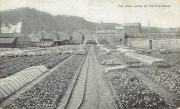 Huy J. Collette Vue D'une Partie De L'etablissement  Graine Plantes  - Huy