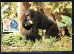 JAPAN GIAPPONE 1992 CONFERENCE ON INTERNATIONAL TRADE IN ENDANGERED SPECIES CITES CHIMPANZEES 62y MAXI MAXIMUM CARD - Maximumkarten