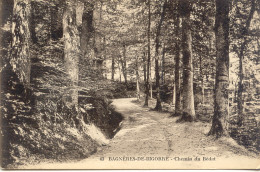 CPA - BAGNERES DE BIGORRE - CHEMIN DU BEDAT - Bagneres De Bigorre