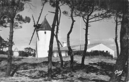 85 ILE DE NOIRMOUTIER L'EPINE  Le Moulin De La Bosse Cpsm  2 Scans - Noirmoutier