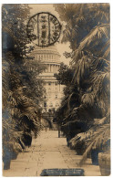 1.2.2 U.S.A., WASHINGTON D.C., DOME OF CAPITOL FROM THE BOTANICAL BURDENS, 1910, POSTCARD - Washington DC