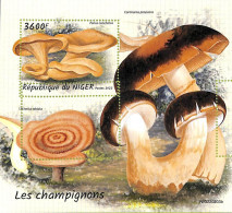 A9219 - NIGER - ERROR MISPERF Stamp Sheet -  2022 - Mushrooms, Nature - Pilze