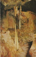 Kents Cave Torquay - Devon - Unused Postcard - Dev1 - Plymouth
