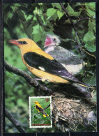LUXEMBOURG LUSSEMBURGO 1992 ENDANGERD BIRDS GOLDEN ORIOLE BIRD 14 + 2fr MAXI MAXIMUM CARD - Cartes Maximum