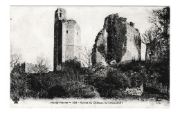 Ruines Du Château De Chalucet - Autres & Non Classés