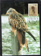 LUXEMBOURG LUSSEMBURGO 1992 ENDANGERD BIRDS RED KITE BIRD 22 + 7fr MAXI MAXIMUM CARD - Maximum Cards