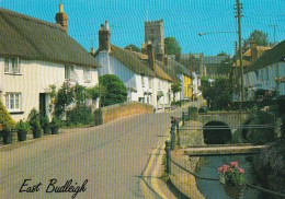 East Budleigh Village - Devon - Unused Postcard - Dev2 - Clovelly