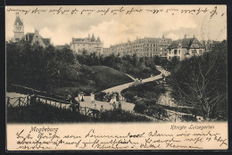 AK Magdeburg, Königin Luisegarten Mit Spaziergängern  - Maagdenburg