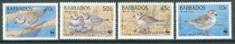 BARBADOS 1999 - W.W.F. - Vanneau - Charadrius Melodus - 4 V. - Barbades (1966-...)