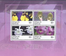 ANTIGUA & BARBUDA 2007 - Orchidées - Feuillet De 4 Timbres - Antigua Und Barbuda (1981-...)