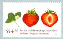 ALLEMAGNE  - 2010 - Bienfaisance: Fruits - Fraises - 1 V. Adhésif De Roulette - Unused Stamps