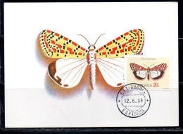 ANGOLA 1984 LOCAL BUTTERFLIES UTETHEISA CALLIMA BUTTERFLY 20k MAXI MAXIMUM CARD - Angola