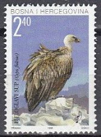 BOSNIEN Und HERZEGOWINA (kroatische Post)  46, Postfrisch **, Gänsegeier, 1998 - Bosnien-Herzegowina