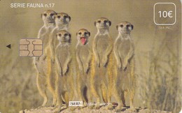 ISN-166 TARJETA DE ESPAÑA DE ISERN DE LA SERIE FAUNA  Nº17  DE UNOS SURICATAS - Emisiones Básicas