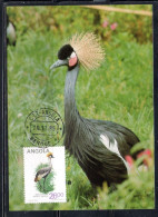 ANGOLA 1984 LOCAL BIRDS BALEARICA PAVONNIA BIRD 26k MAXI MAXIMUM CARD - Angola