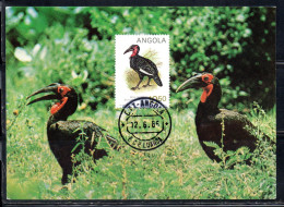 ANGOLA 1984 LOCAL BIRDS BUCORVUS LEAD BEATERI BIRD 10.50k MAXI MAXIMUM CARD - Angola