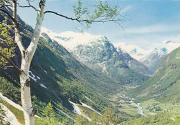 AK 216157 NORWAY - Videdalen Valley - Noruega