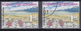 BOSNIEN Und HERZEGOWINA (kroatische Post)  51, Postfrisch ** + Gestempelt, Europa CEPT: Natur- Und Nationalparks, 1999 - Bosnie-Herzegovine