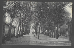 Paray Le Monial, La Promenade, Place Du Marché (13708) - Paray Le Monial