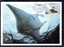 ANGOLA 1992 RAYS MANTA BIROSTRIS 66k MAXI MAXIMUM CARD - Angola