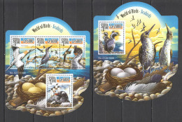 Ls850 2015 Sierra Leone Birds Fauna Seabirds 1Kb+1Bl Mnh Stamps - Other & Unclassified