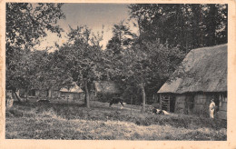 14-NORMANDIE VIEILLE FERME-N°T5094-F/0217 - Sonstige & Ohne Zuordnung