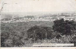 77-FONTAINEBLEAU PANORAMA-N°T5095-A/0309 - Fontainebleau