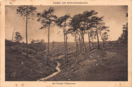 77-FONTAINEBLEAU LA FORET-N°C4072-B/0251 - Fontainebleau