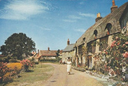 Winkle Street Calbourne - Isle Of Wight  - Unused Postcard - Iow1 - Autres & Non Classés