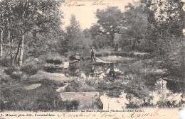 77-FONTAINEBLEAU LA FORET-N°T5096-E/0159 - Fontainebleau