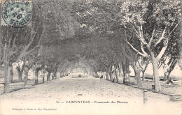 84-CARPENTRAS-N°T5096-D/0013 - Carpentras