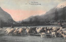 05-LES ALPES TROUPEAUX AU PATURAGE-N°T5096-C/0207 - Altri & Non Classificati