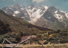 05, Le Massif De La Meije, Vue Prise Du Jardin Alpin - Andere & Zonder Classificatie