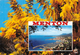 06-MENTON-N°C4074-C/0261 - Menton