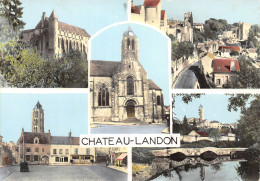 77-CHATEAU LANDON-N°C4074-A/0337 - Chateau Landon