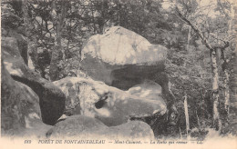 77-FONTAINEBLEAU LA FORET-N°T5097-D/0005 - Fontainebleau