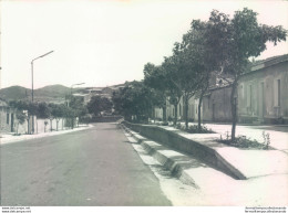 A212-monti - Sassari -bozza Fotografica-bella - Sassari