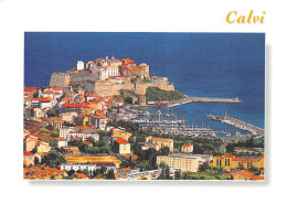 20-CORSE CALVI-N°C4074-D/0095 - Other & Unclassified