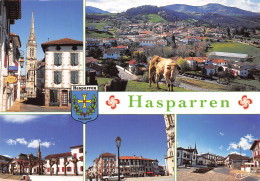 64-HASPARREN-N°C4075-C/0325 - Hasparren