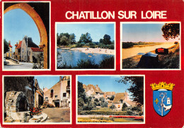 45-CHATILLON SUR LOIRE-N°C4076-A/0193 - Chatillon Sur Loire