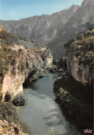 48-GORGES DU TARN-N°C4075-D/0369 - Gorges Du Tarn