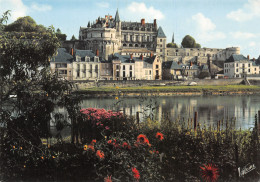 37-AMBOISE-N°C4076-D/0021 - Amboise