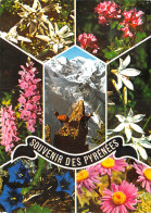 65-LES PYRENEES FLEURS-N°C4076-C/0089 - Otros & Sin Clasificación