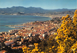 06-CANNES-N°C4076-C/0021 - Cannes