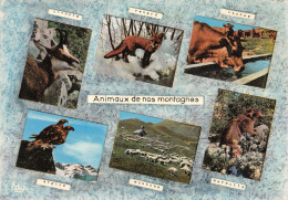 TH-ANIMAUX DE LA MONTAGNE-N°C4076-C/0017 - Sonstige & Ohne Zuordnung