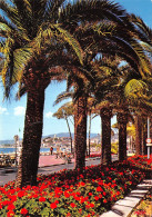 06-CANNES-N°C4076-D/0339 - Cannes