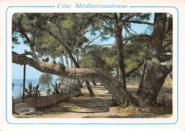 13-LA COTE MEDITERRANEENNE-N°C4076-D/0213 - Sonstige & Ohne Zuordnung