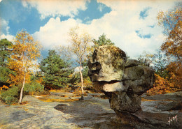 77-FONTAINEBLEAU-NC4076-D/0101 - Fontainebleau