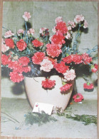 ISRAEL BLUMEN STRAUSS FLOWER CP PC KARTE CARD POSTCARD CARTOLINA ANSICHTSKARTE CARTA POSTALE POSATKARTE TARJETA - Israel