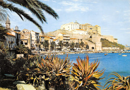 2B-CALVI-N°C4077-D/0105 - Calvi